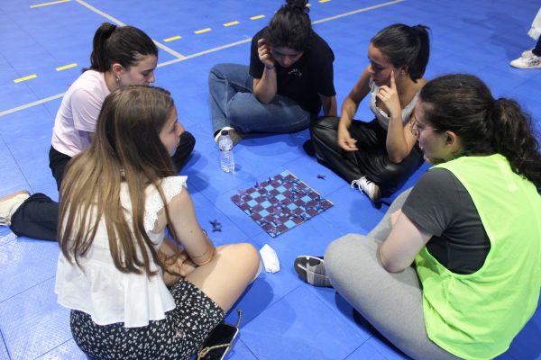 Organização e Animação de Campos e Colónias de Férias 2024/2025